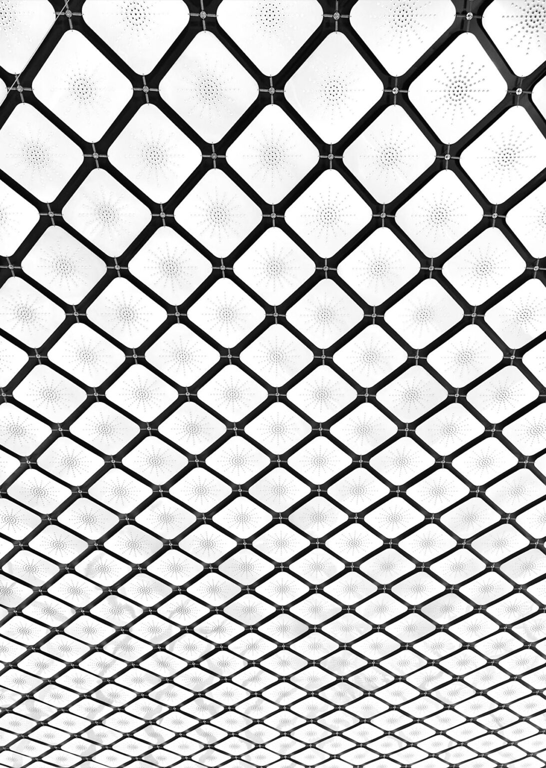 pexels-david-underland-30652137